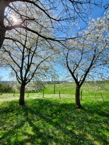 Stellplatz - Classic-Stellplatzpaket Für Zelt - Camping de la Liez