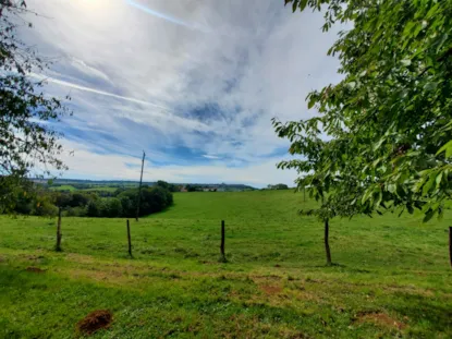 Paquete De Parcela Classic