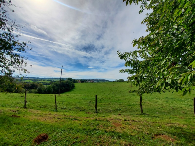 Classic-Stellplatzpaket - nur für Zelte