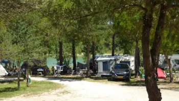 Stellplatz - Stellplatz Confort Große Größe - Camping de la Liez