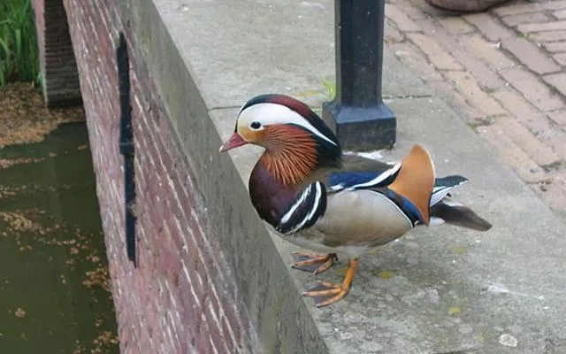 Mini Camping Warnstee - image n°14 - UniversalBooking