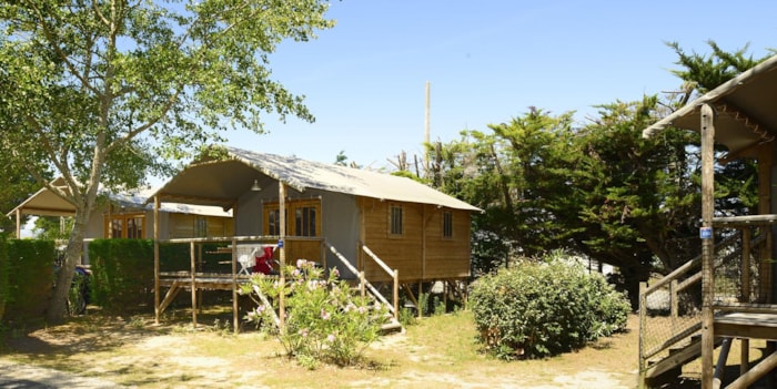 Cabane Lodge Bois Sur Pilotis Confort 38M² (2 Chambres) Dont Terrasse Couverte De 8M²