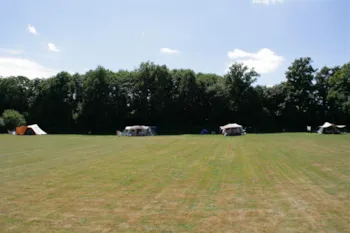 Stellplatz - Platz Für Zelt, Wohnwagen, Wohnmobil, Faltanhänger - Camping Le Petit Mas d'Ile