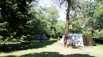 The Fruityard - for small caravans, campers, tents, and folding trailers