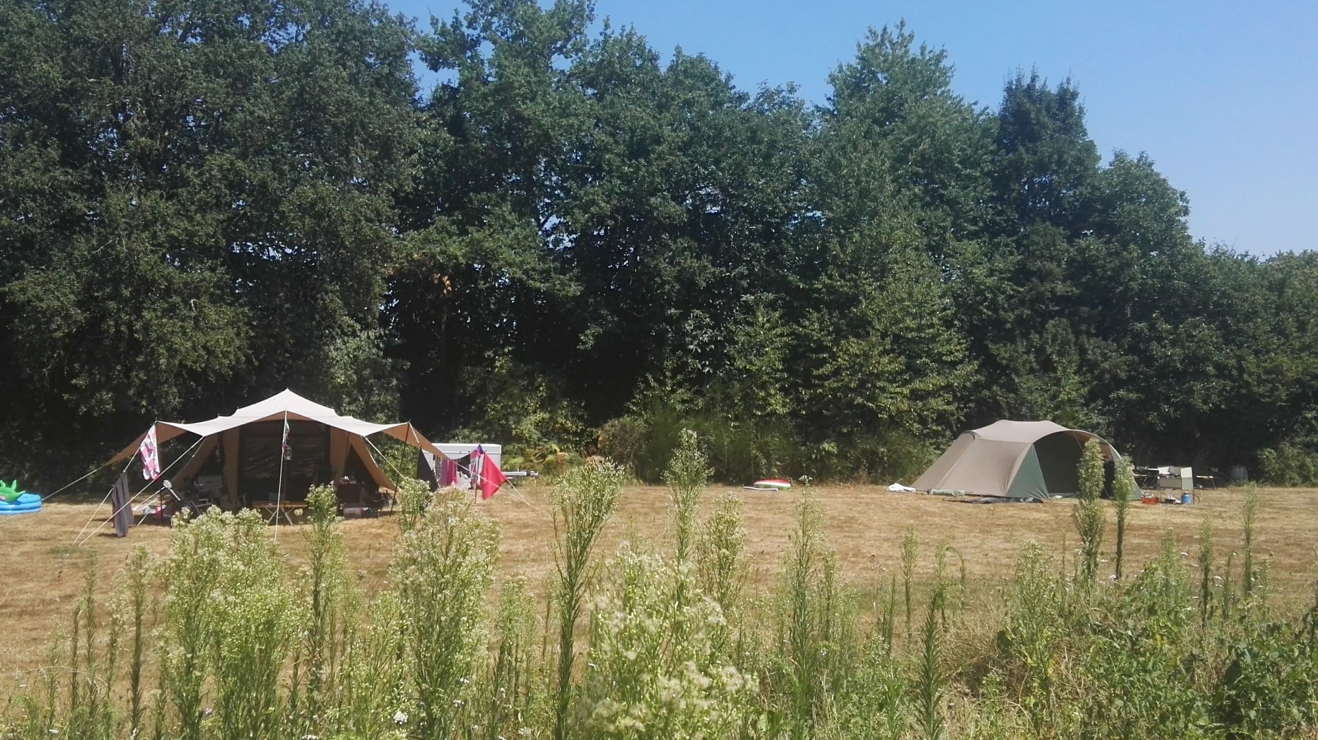 Camping Le Petit Mas d'Ile — Foto 2