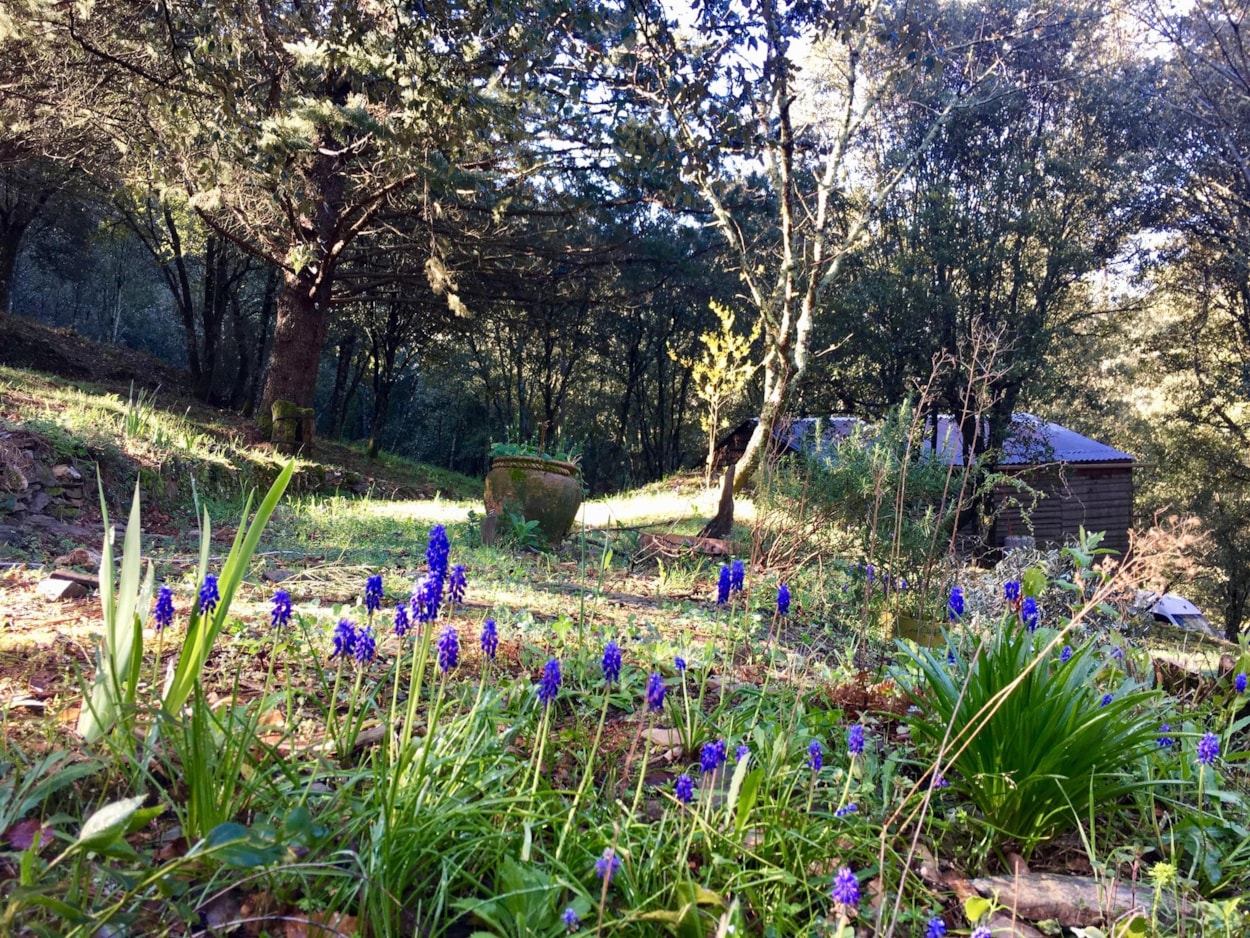 Camping La Corconne