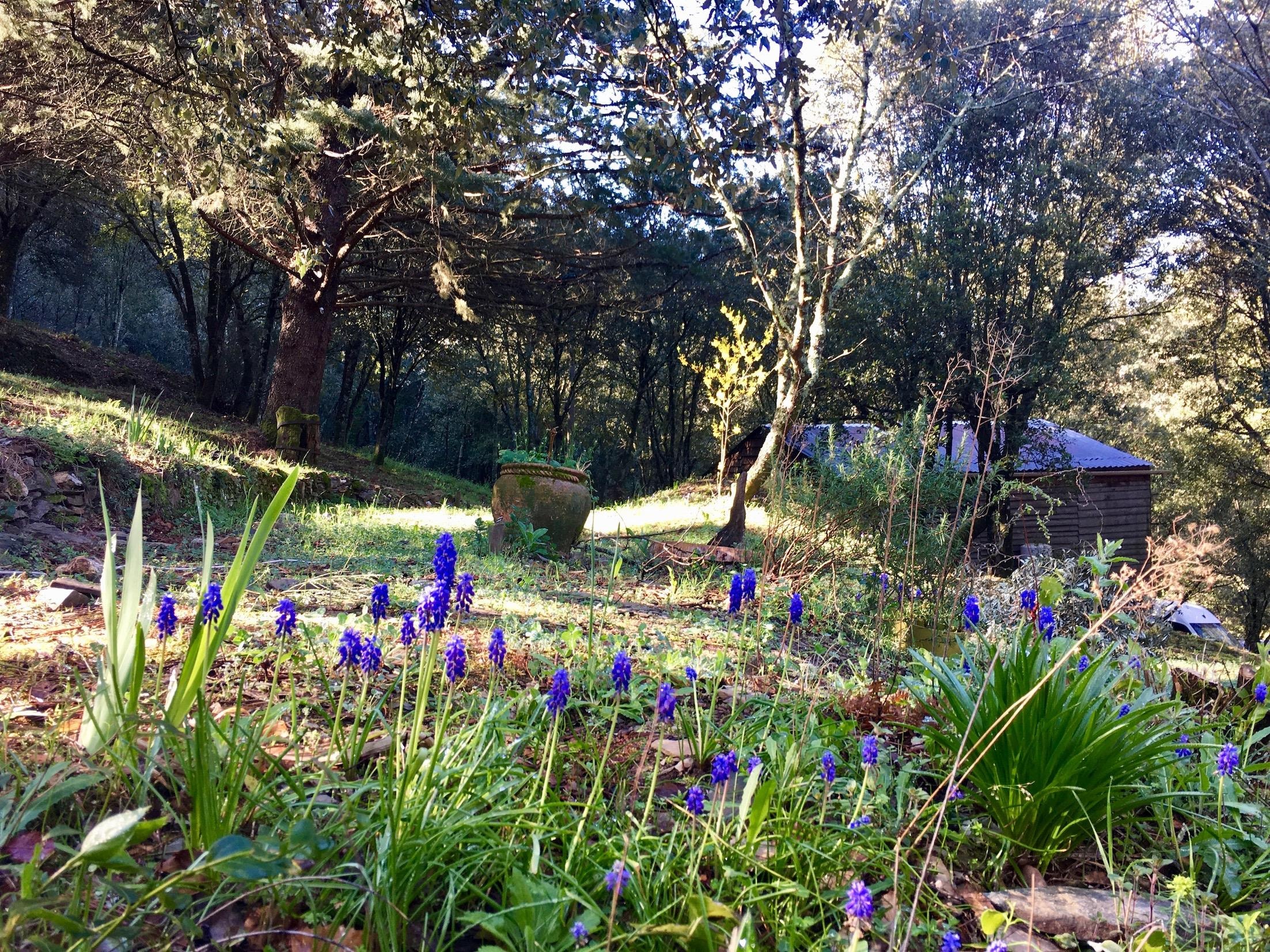Camping La Corconne — Photo 4