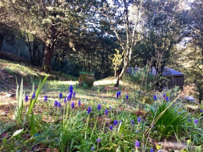 Camping La Corconne