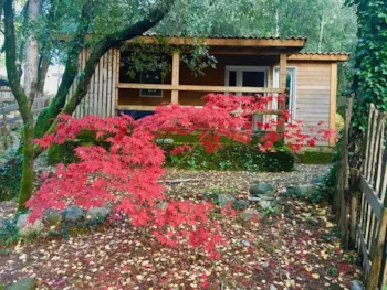 Accommodation - Chalet 5 À 7 Personnes - 2 Bedrooms - Camping La Corconne
