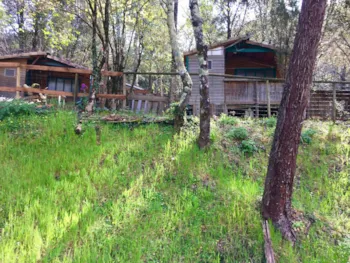 Location - Chalet Érable Et Pêcher - 2 Chambres - Camping La Corconne