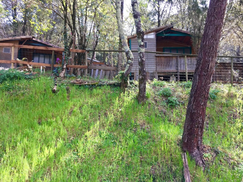 Hütte Érable et Pêcher - 2 Zimmer