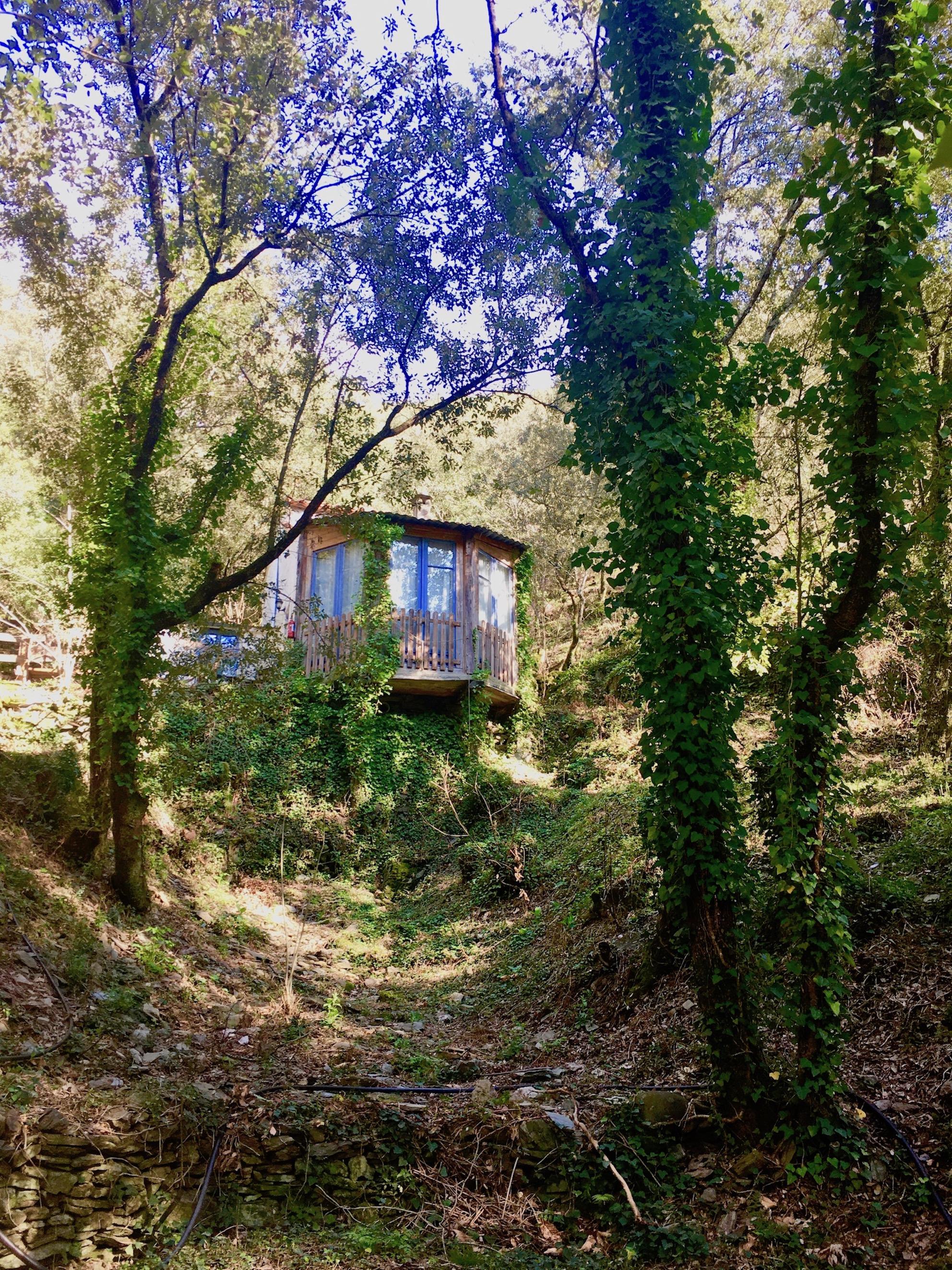 Location - Gîte Merisier - 1 Chambre - Camping La Corconne