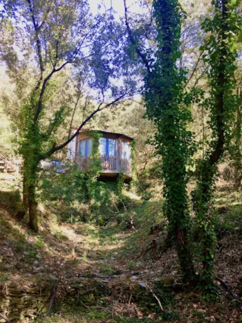 Accommodation - Holiday Home - 1 Bedroom - Camping La Corconne