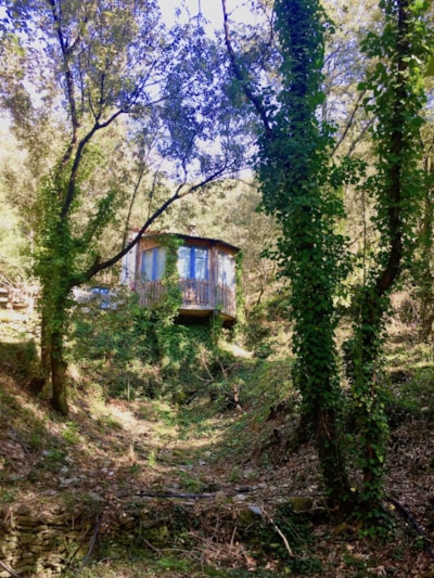 Holiday Home - 1 bedroom — 1