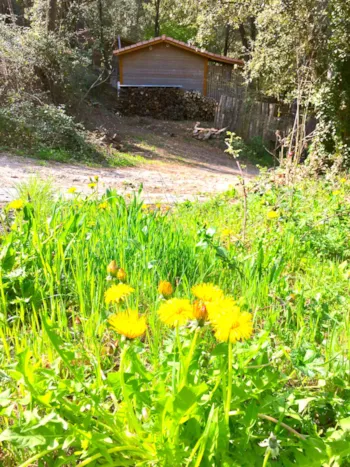 Location - Chalet 5 À 7 Personnes - 2 Chambres - Camping La Corconne