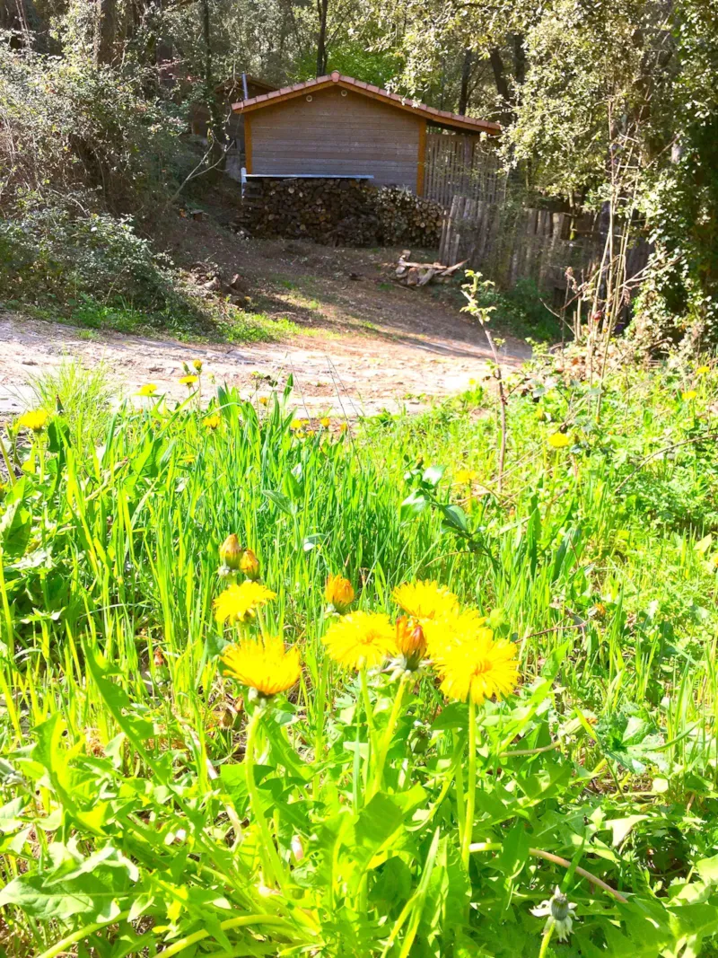 Chalet 5 À 7 Personnes - 2 Chambres