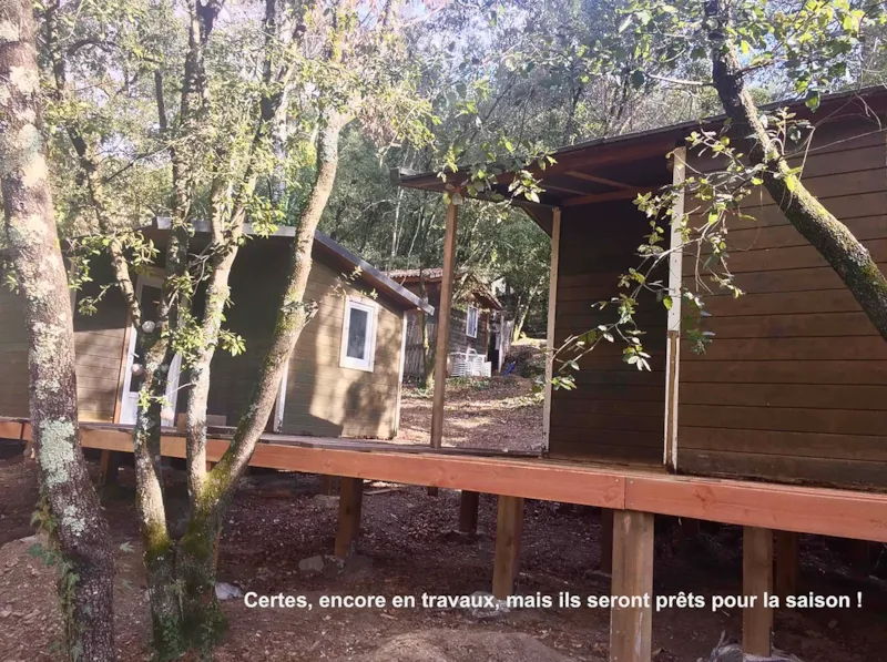 Acacia - 2 Chalets Côte À Côte