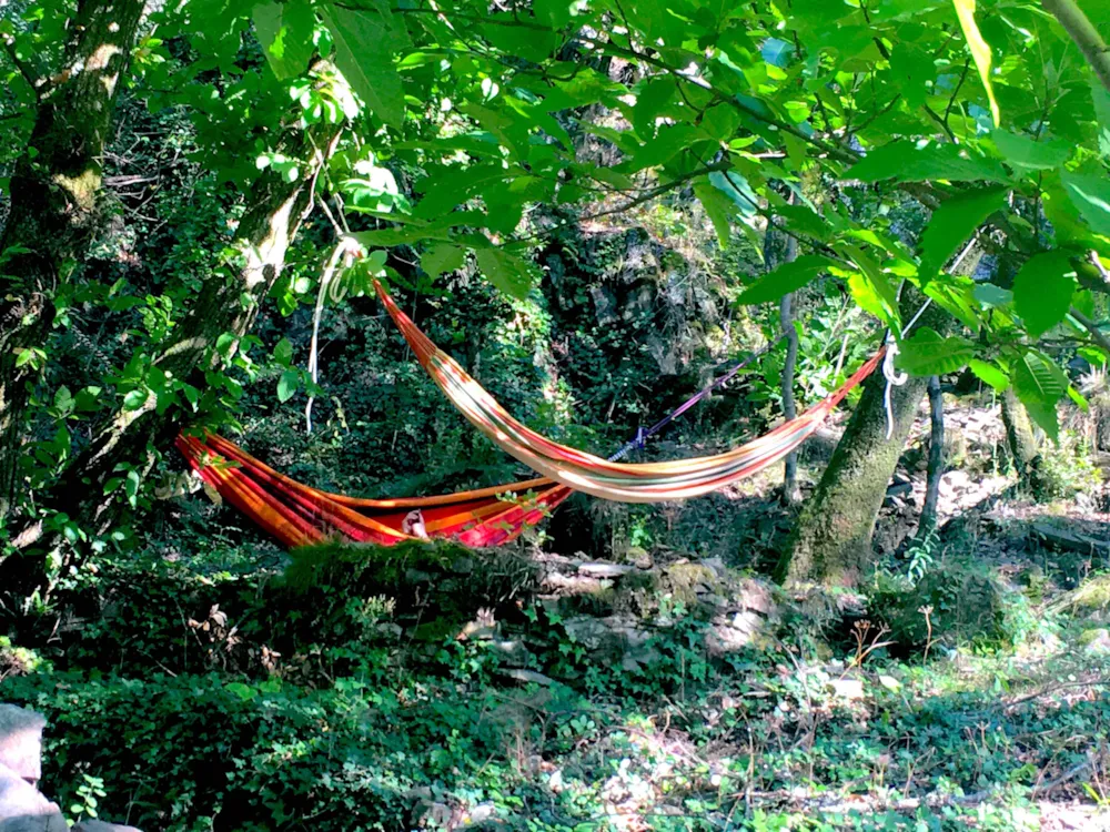 Emplacement - Emplacement Dans Les Bois - Ombragé Ou Semi Ombragé - Camping La Corconne