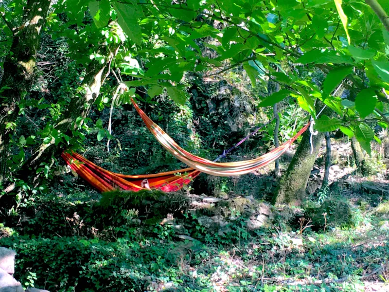 Emplacement Dans Les Bois - Ombragé Ou Semi Ombragé