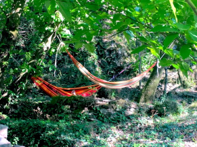 Pitch Dans les Bois - shaded or semi-shaded — 1