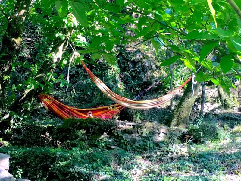 Stellplatz Dans les Bois - schattig oder halbschattig