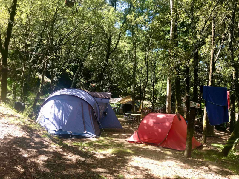 Emplacement Dans Les Bois - Ombragé Ou Semi Ombragé