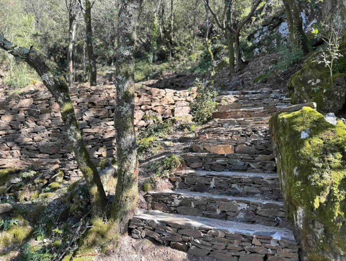 Emplacement Les Terrasses Cévenoles Grand Confort