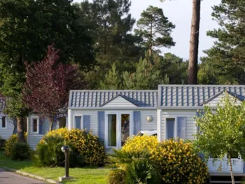 Mietunterkunft - Cottage *** (2 Zimmer) - Behindertengerechtes - YELLOH! VILLAGE - LES PINS