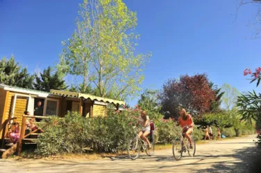 Capfun - Camping Fleur de Camargue - image n°3 - Camping Direct