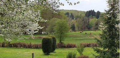 Pitch XXL 300m² — 5