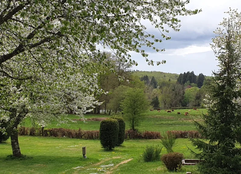 Emplacement M 85-99M²