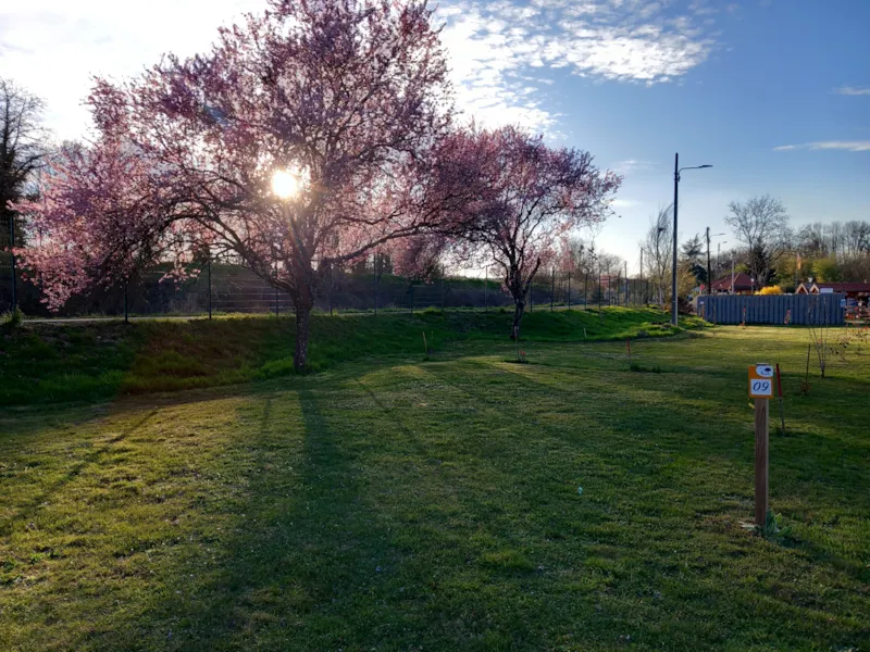 Emplacement Nu 100M²  (Electricité Incluse)