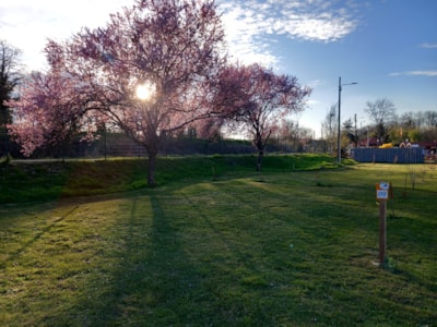 Bare pitch 100m² (electricity included) — 2
