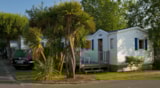 Cottage ** ( 2 Camere) Cottage ** ( 2 Camere)