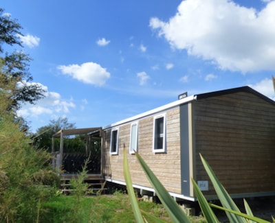 5 person Cottage **** (3 bedrooms) — 1