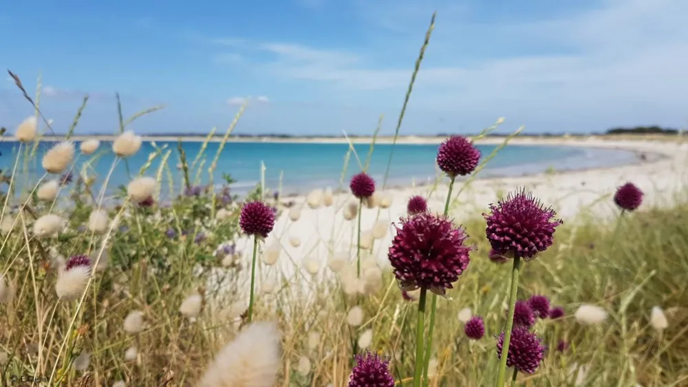 YELLOH! VILLAGE - L'OCEAN BRETON