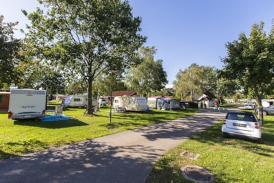 Pitch with electricity + car + tent/caravan or camping-car
