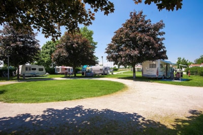 Pitch with electricity + car + tent/caravan or camping-car