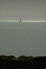 Foto #28 van Siblu – Le Conguel