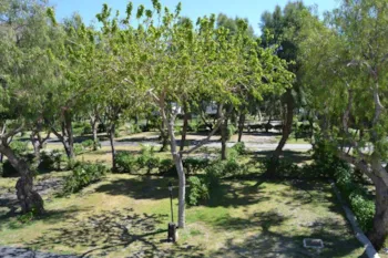 Stellplatz - Stellplatz 70M2 Zelt, Wohnwagen, Wohnmobil / 1 Auto / Strom - Camping Castillo de Baños