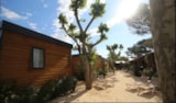 Cottage Premium Avec Climatisation Et Tv Cottage Premium Avec Climatisation Et Tv