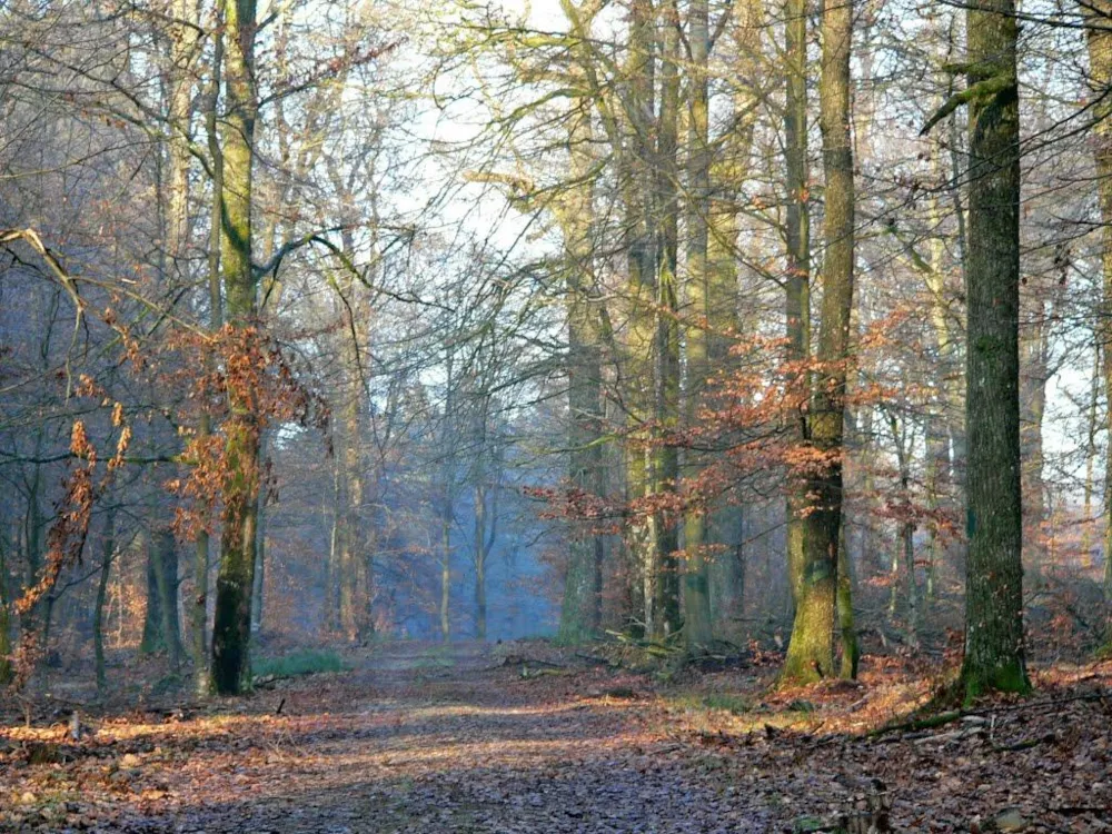 Aux Sources de Lescheret - image n°15 - UniversalBooking