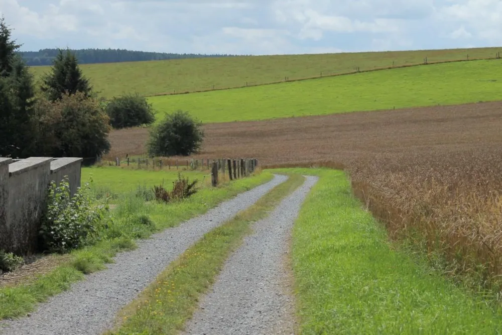 Aux Sources de Lescheret - image n°12 - UniversalBooking