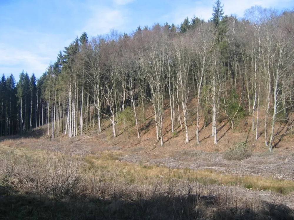 Aux Sources de Lescheret - image n°16 - UniversalBooking