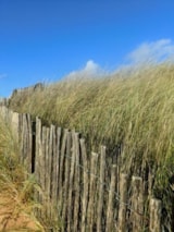 Foto #30 van Camping de la Baie