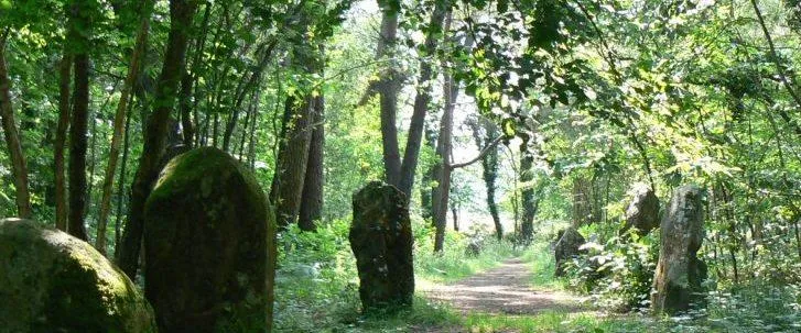 Camping de la Baie - image n°35 - UniversalBooking