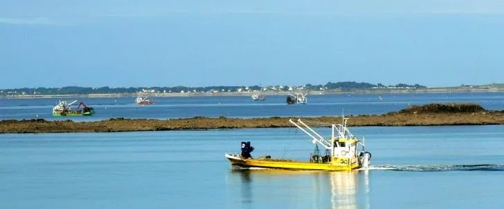 Camping de la Baie - image n°36 - UniversalBooking