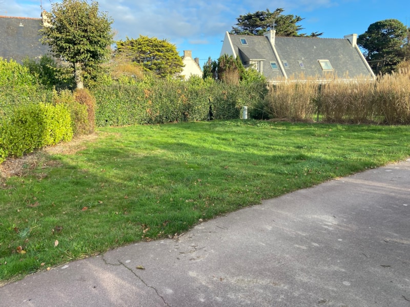 Stellplatz Spacious ~130m² (optionaler Strom)