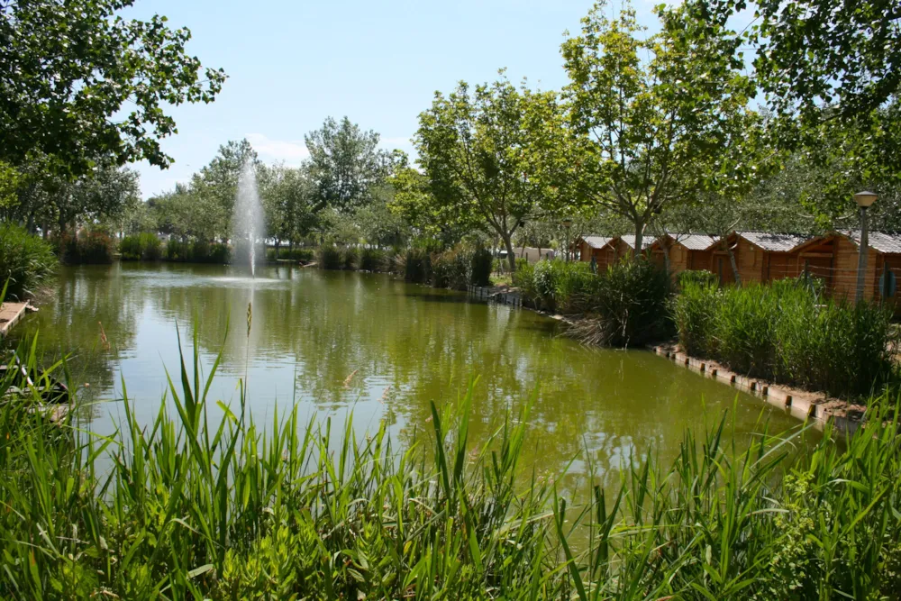 Camping Eucaliptus - image n°1 - Camping2Be