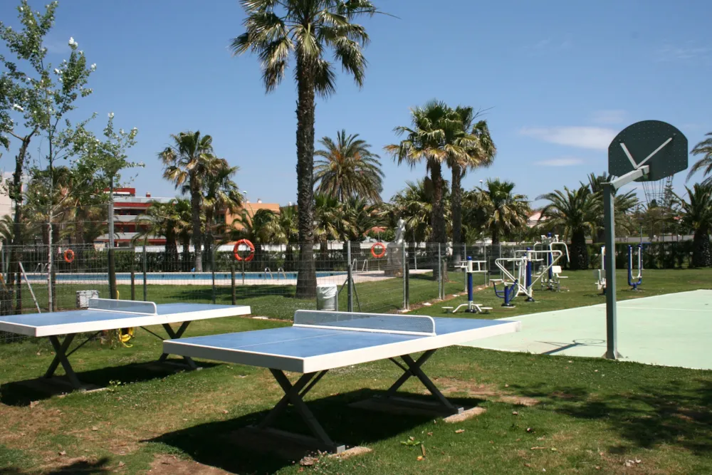 Camping Eucaliptus
